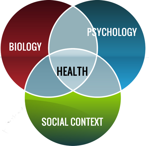 Venn Diagram