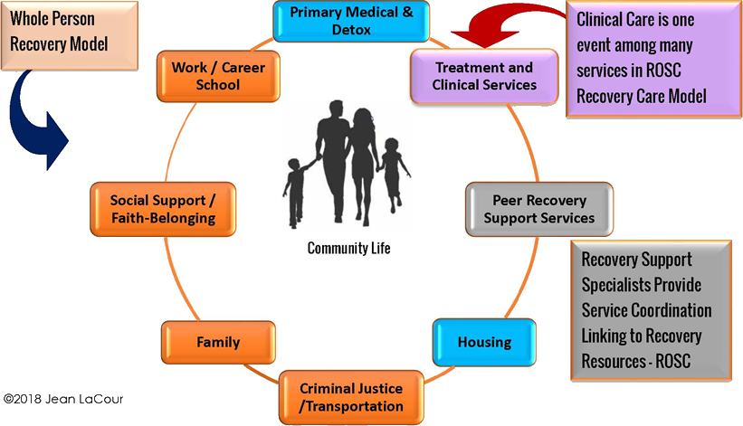 Flow chart diagram of recovery process